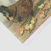 Illustration des Hühnerkranzes Seidenpapier (Ausschnitt)