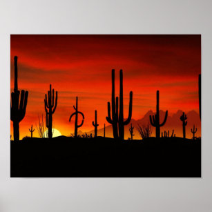 Wusten Pflanzen Kunst Poster Zazzle De