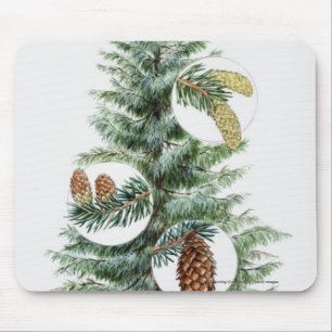 Illustration des Koniferenbaums mit Kegeln Mousepad