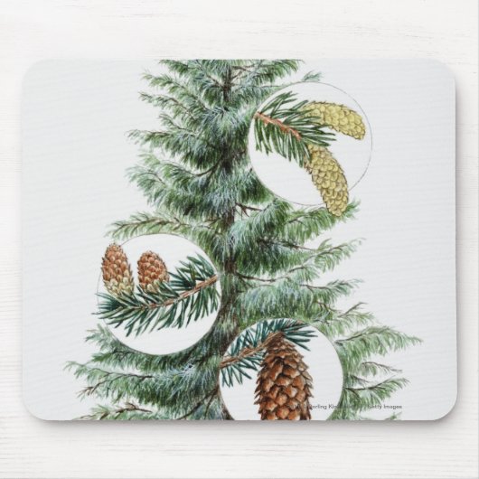 Illustration des Koniferenbaums mit Kegeln Mousepad (Vorne)