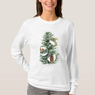 Illustration des Koniferenbaums mit Kegeln T-Shirt