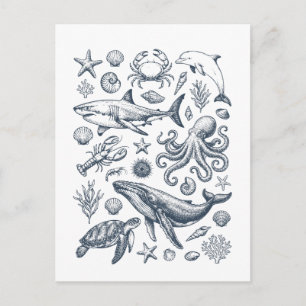 Illustration des marinen Lebens im Vintage-Stil Postkarte