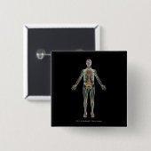 Illustration des Nervensystems Button (Vorne & Hinten)