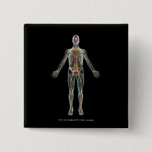Illustration des Nervensystems Button