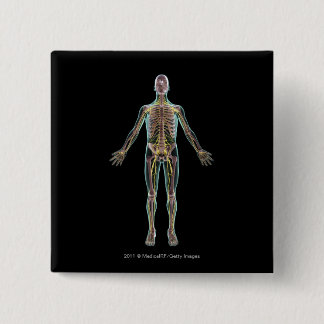 Illustration des Nervensystems Button