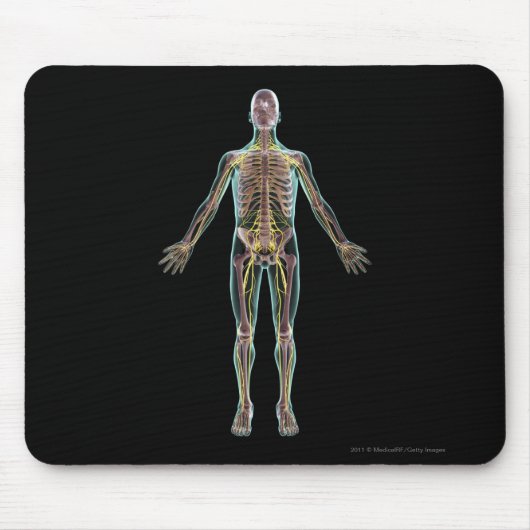 Illustration des Nervensystems Mousepad (Vorne)