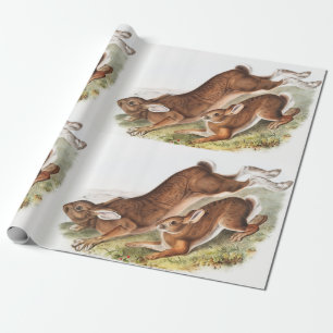 Illustration des Nordhaars (Lepus Americanus) Geschenkpapier