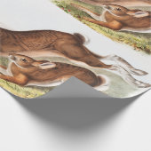 Illustration des Nordhaars (Lepus Americanus) Geschenkpapier (Ecke)