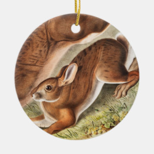 Illustration des Nordhaars (Lepus Americanus) Keramik Ornament