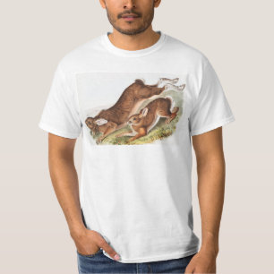 Illustration des Nördlichen Schneehasen (Lepus Ame T-Shirt