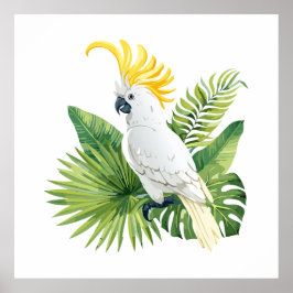 Illustration des Papageien Kakadu Poster