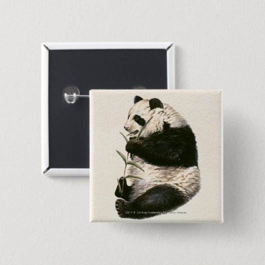 Illustration des riesigen Pandas fütternd auf Button (Vorne & Hinten)