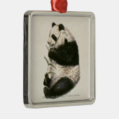 Illustration des riesigen Pandas fütternd auf Silbernes Ornament (Rechts)