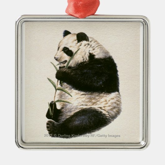Illustration des riesigen Pandas fütternd auf Silbernes Ornament (Vorne)