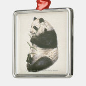 Illustration des riesigen Pandas fütternd auf Silbernes Ornament (Links)