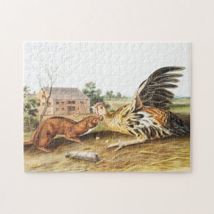 Illustration des Rötlichen Wiesels (Putorius fuscu Puzzle
