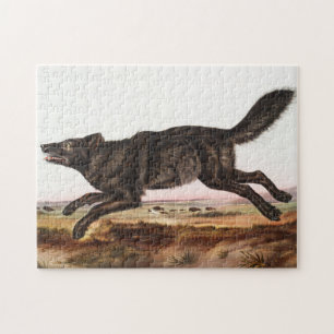Illustration des Schwarzen Amerikanischen Wolfes ( Puzzle