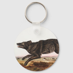 Illustration des Schwarzen Amerikanischen Wolfes ( Schlüsselanhänger