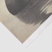 Illustration des schwarzen Schwans Seidenpapier (Detail)