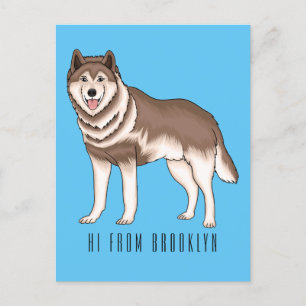 Illustration des sibirischen Husky-Cartoon Postkarte