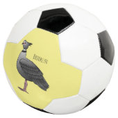 Illustration des südlichen Cartoon der Vogelscheuc Fußball (Dreiviertel)