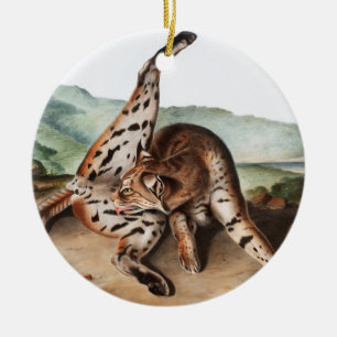 Illustration des Texan Lynx (Lynx rufus var macula Keramik Ornament