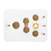 Illustration des Uran-235-Angriffs auf Neutronen Magnet (Horizontal)