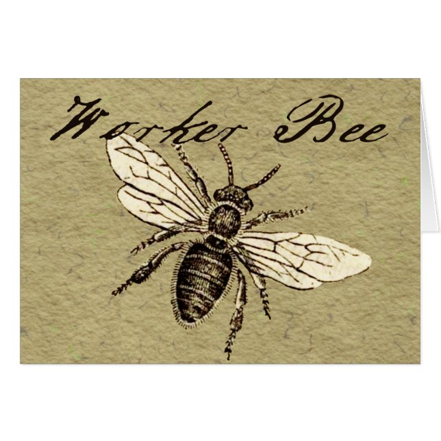 Illustration des Vintagen Bieneninsekts Antike (Vorderseite (Horizontal))