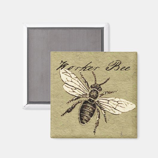 Illustration des Vintagen Bieneninsekts Antike Magnet (Vorderseite/Rückseite)