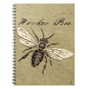 Illustration des Vintagen Bieneninsekts Antike Notizblock