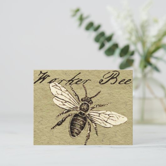 Illustration des Vintagen Bieneninsekts Antike Postkarte (Stehend Vorderseite)