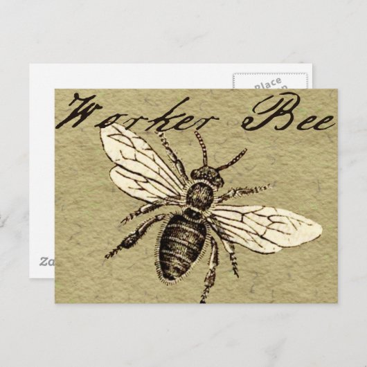 Illustration des Vintagen Bieneninsekts Antike Postkarte (Vorne/Hinten)