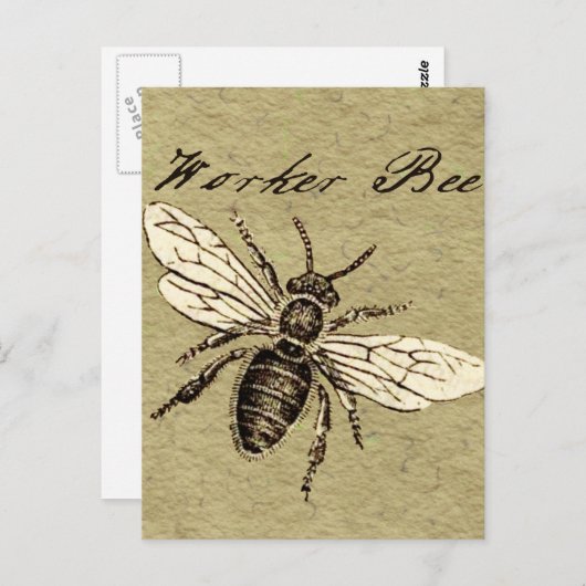 Illustration des Vintagen Bieneninsekts Antike Postkarte (Vorne/Hinten)