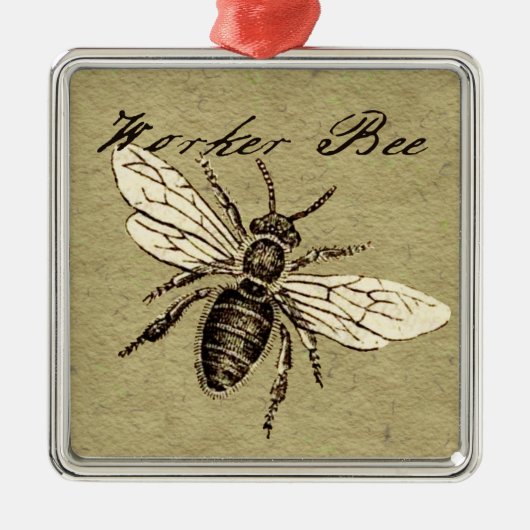 Illustration des Vintagen Bieneninsekts Antike Silbernes Ornament (Vorne)