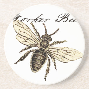 Illustration des Vintagen Bieneninsekts Antike Untersetzer