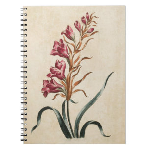 Illustration des Vintagen botanischen Blumenfoxglo Notizblock