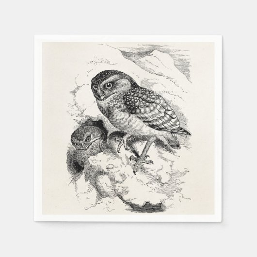 Illustration des Vintagen Burrowing Owl Chick Bird Serviette (Vorderseite)