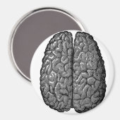 Illustration des Vintagen menschlichen Gehirns Magnet (Vorderseite/Rückseite)