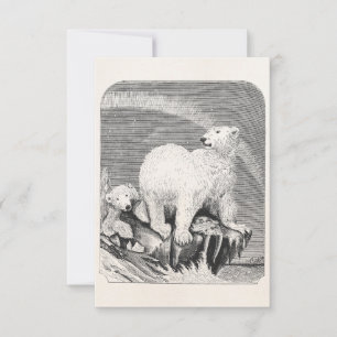 Illustration des Vintagen Polarbären der 1800er Ja