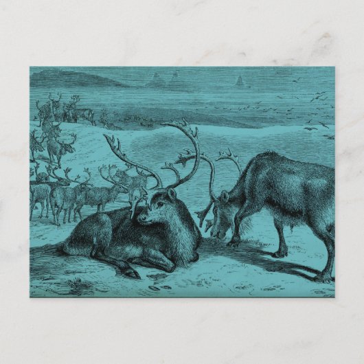 Illustration des Vintagen Reindeers Postkarte (Vorderseite)
