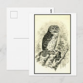 Illustration des Vintagen Schweineauschens Postkarte (Vorne/Hinten)