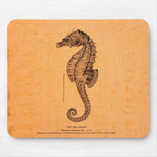 Illustration des Vintagen Seepferds Mousepad (Vorne)
