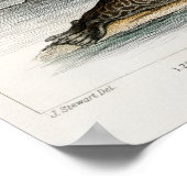 Illustration des Vintagen Siegels Poster (Ecke)