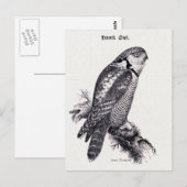 Illustration des Vintagen Vogels von Hawk Owl Postkarte (Vorne/Hinten)