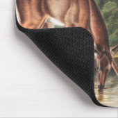 Illustration des Virginianus (Cervus Virginianus) Mousepad (Ecke)