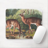 Illustration des Virginianus (Cervus Virginianus) Mousepad (Mit Mouse)