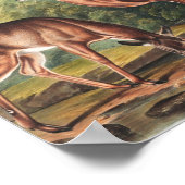 Illustration des Virginianus (Cervus Virginianus) Poster (Ecke)