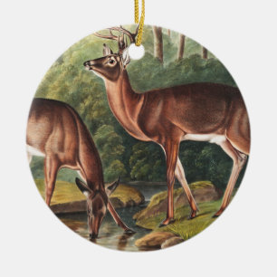 Illustration des Virginischen Hirsches (Cervus Vir Keramik Ornament
