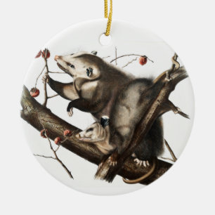 Illustration des Virginischen Opossums Didelphis V Keramik Ornament