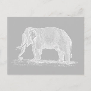 Illustration des weißen Elefanten Vintag 1800 Postkarte